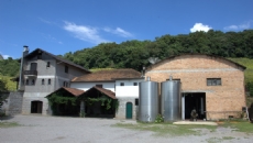 A Cantina Tonet é uma empresa familiar, situada na Serra Gaúcha, que preserva os aspectos rústicos na sua arquitetura.